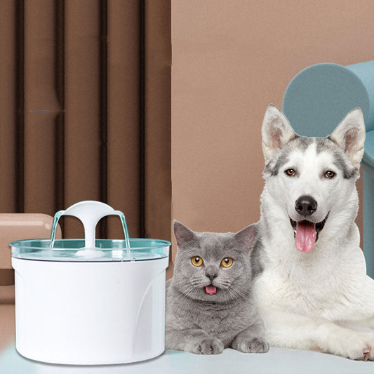 Pet Water Bowl