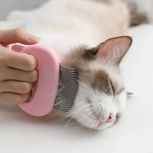 Pet Comb